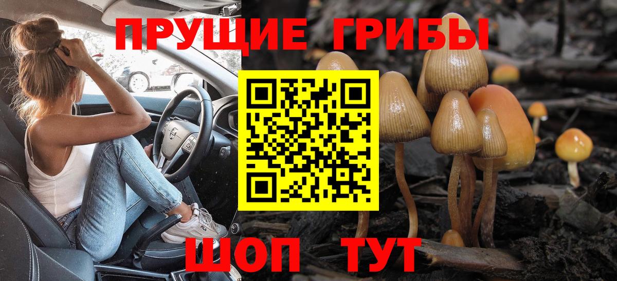 Псилоцибиновые грибы прущие грибы Белогорск