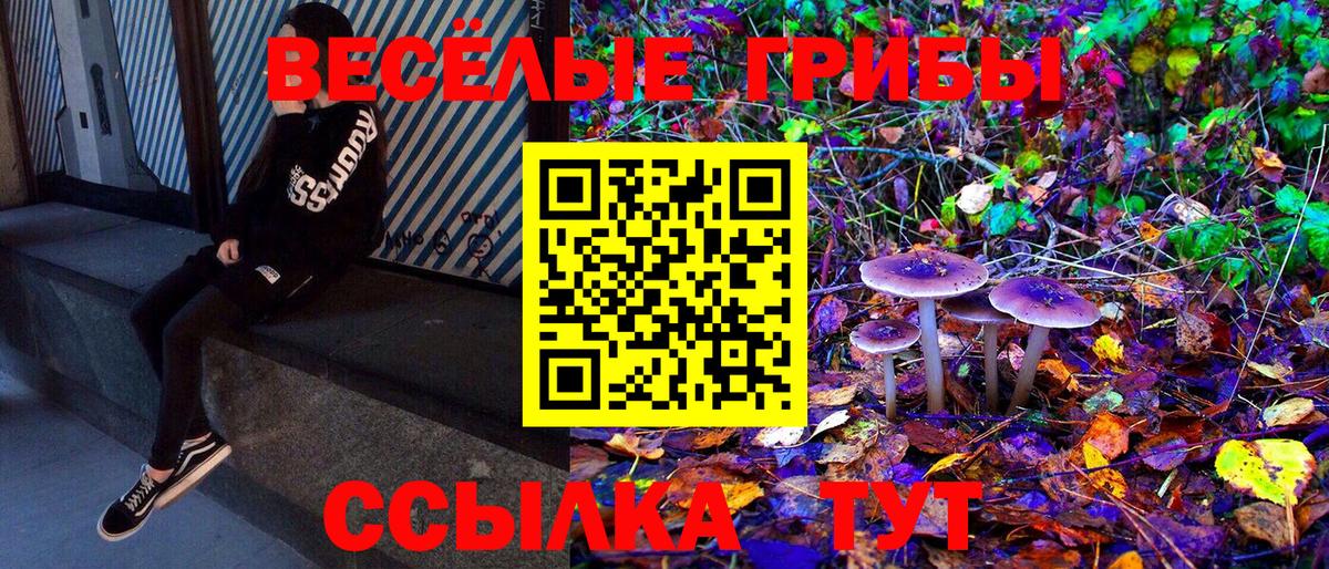Псилоцибиновые грибы Psilocybe  Вход с VPN  хочу наркоту  Белогорск 